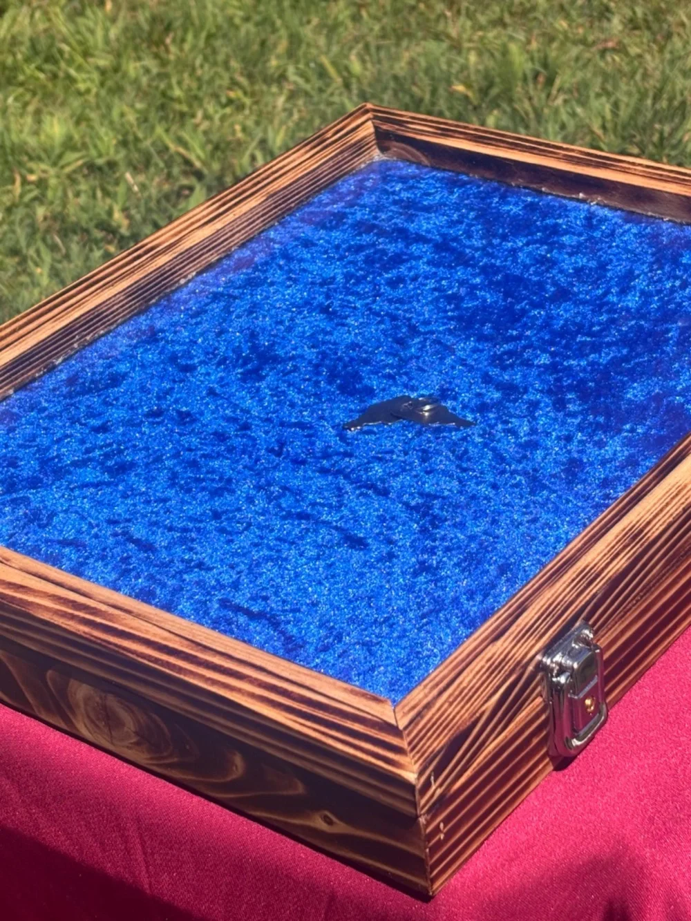 Burnt cypress display case